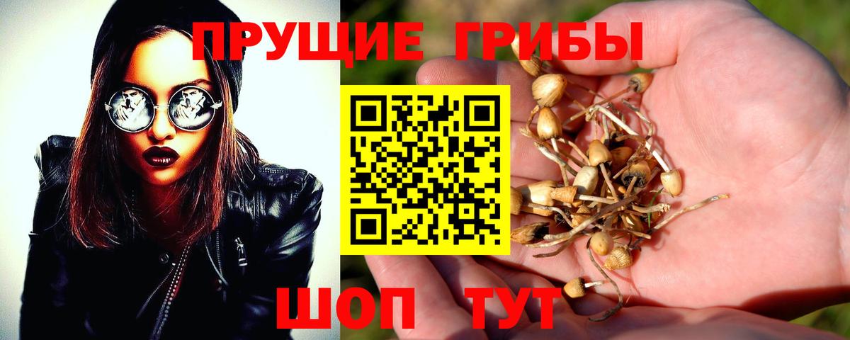 Еманжелинск  Псилоцибиновые грибы прущие грибы  Вход с VPN 